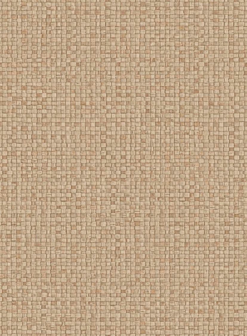 Puna 81541