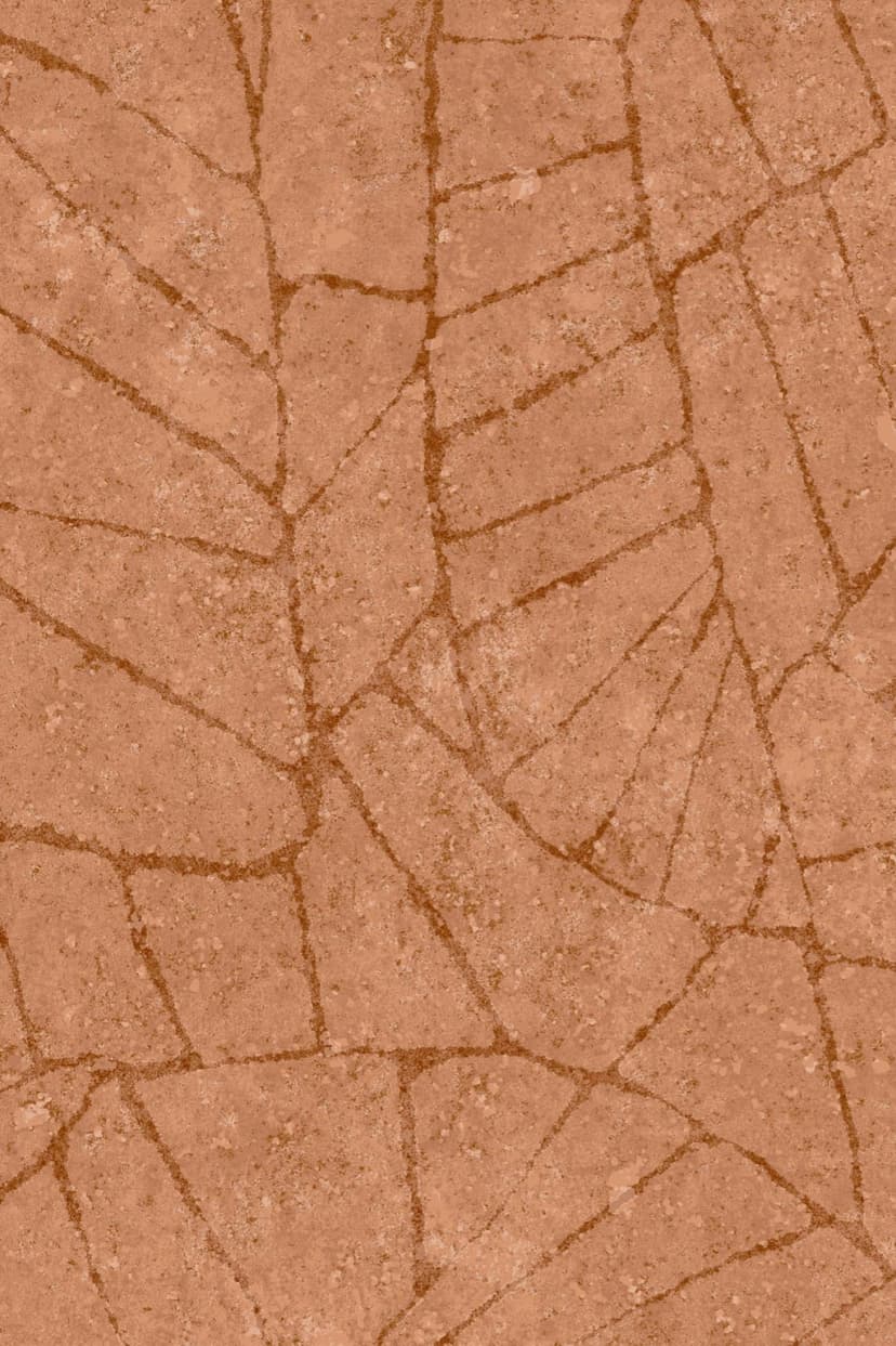 Fragment 30334