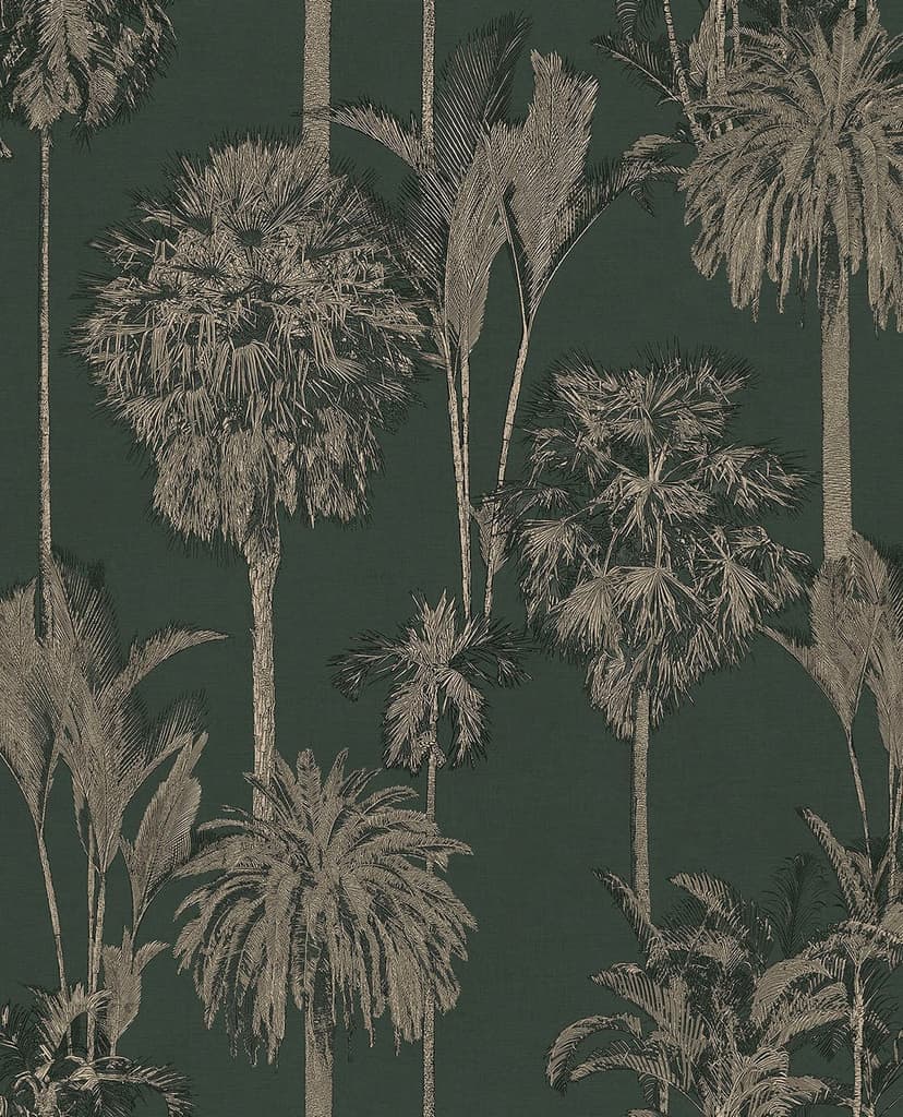 Oasis 317320