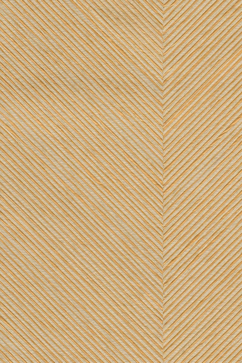 Kinisi 48602