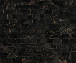 Arte Vega ECP801, foto 1