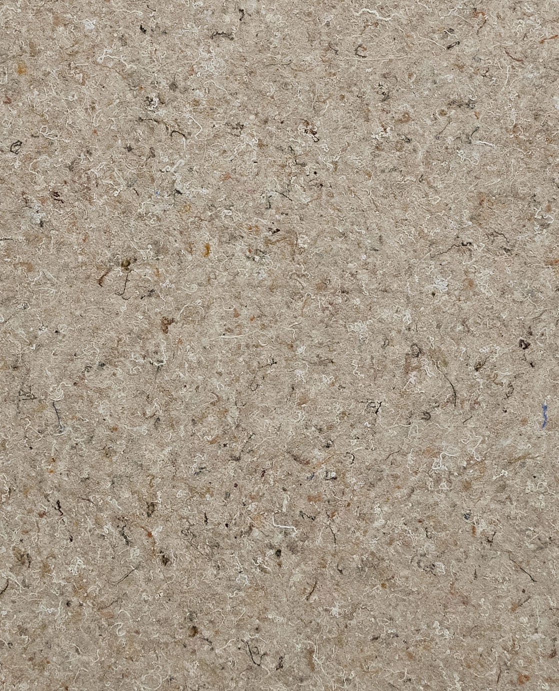 Eijffinger Felt 350822, foto 1