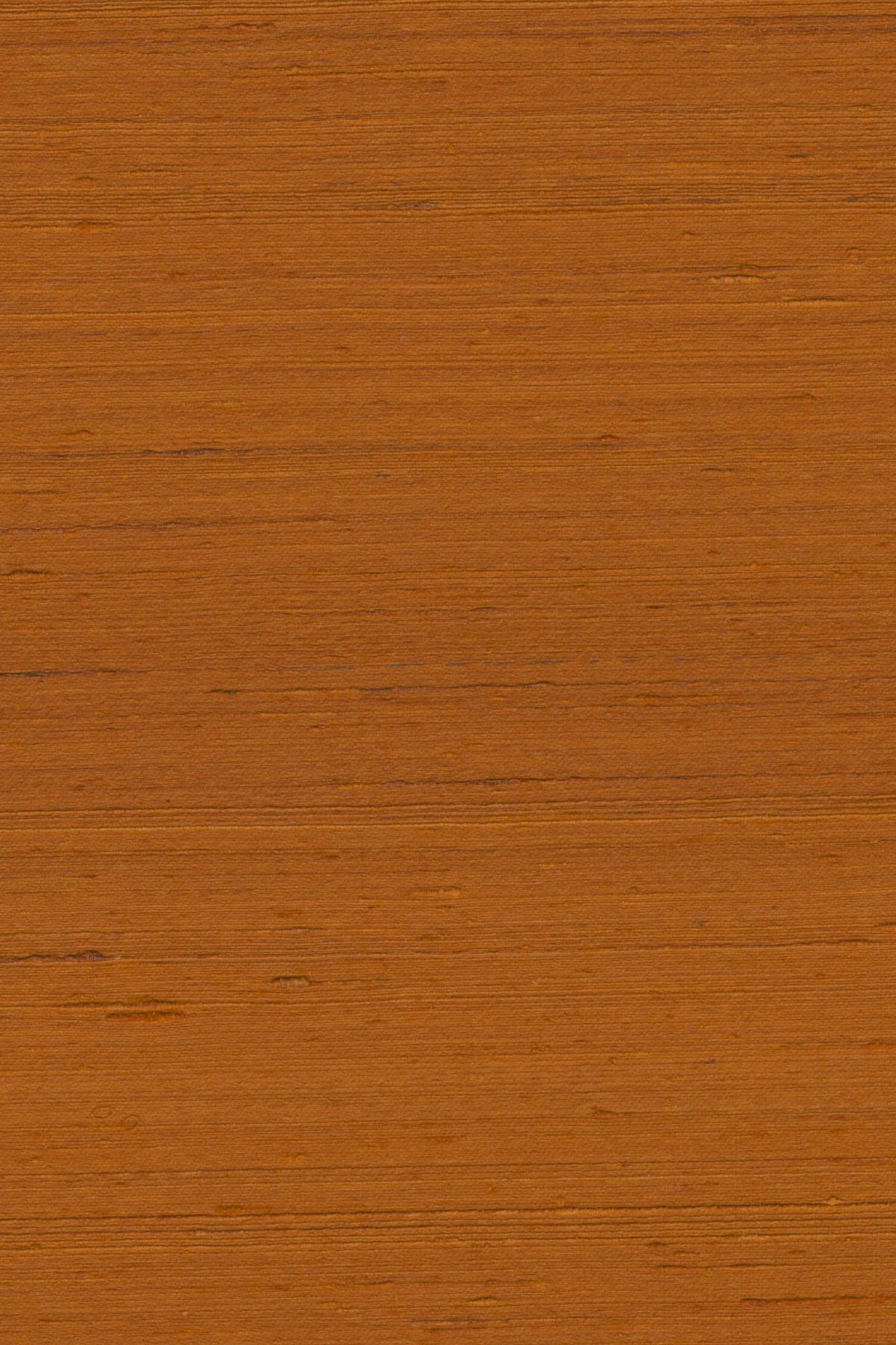 Arte Mandya 35422, foto 1